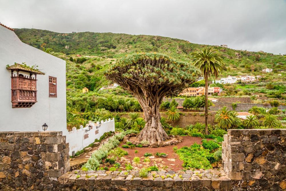 Acogedor Estudio En Playa San Marcos, Icod De Los Vinos 아파트 외부 사진